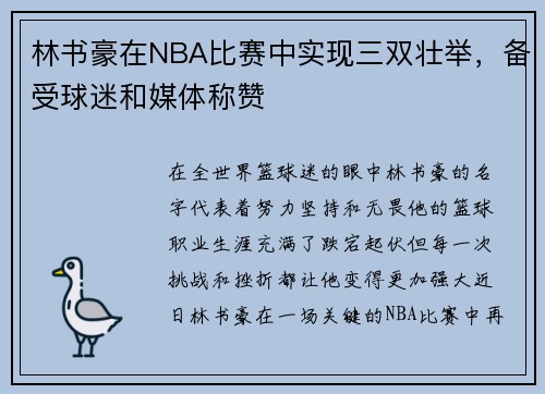 林书豪在NBA比赛中实现三双壮举，备受球迷和媒体称赞